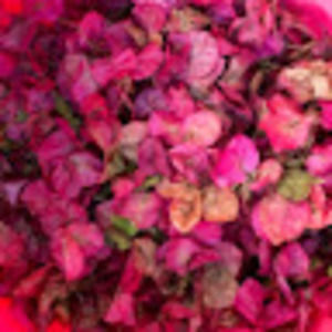 Meet your Posher, Annie lee